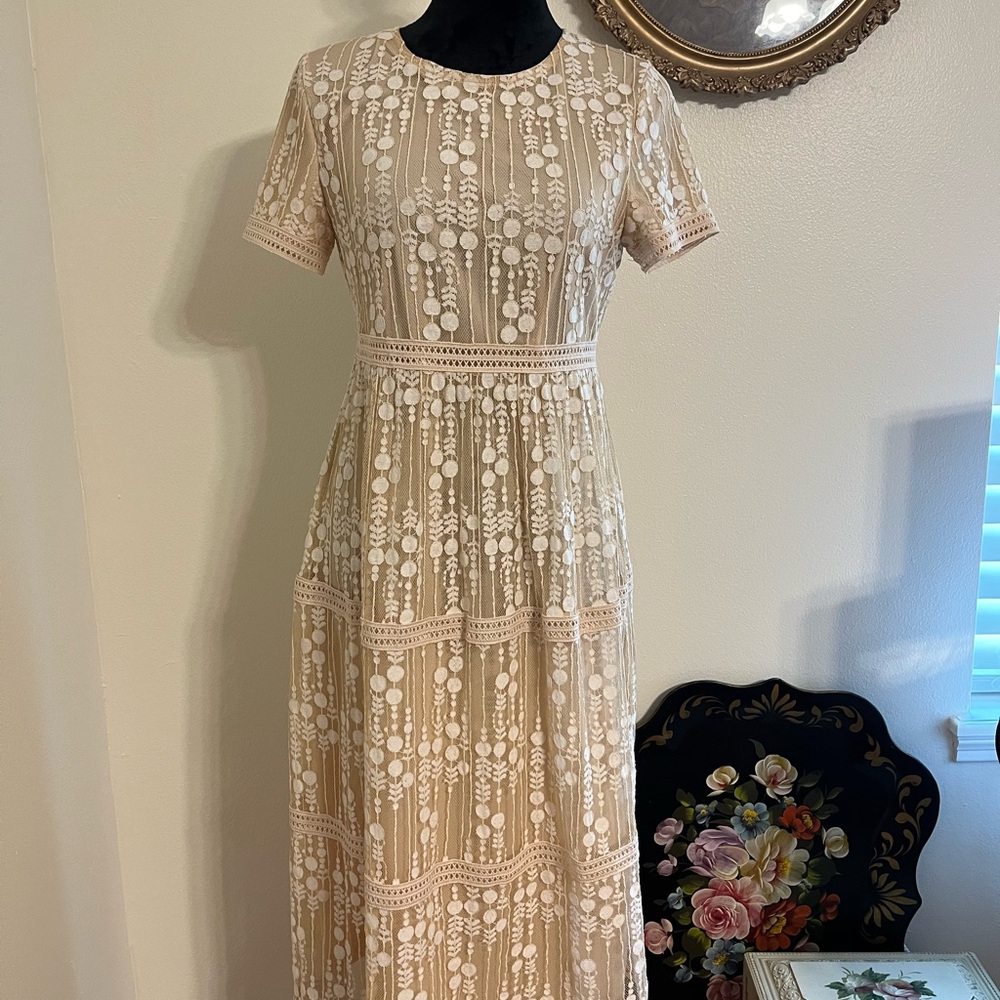 Tea n Rose Lace Midi Dress in Cream